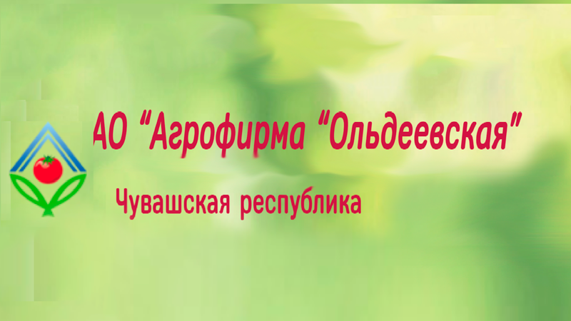 АО "Агрофирма "Ольдеевская" АО "Агрофирма "Ольдеевская"
