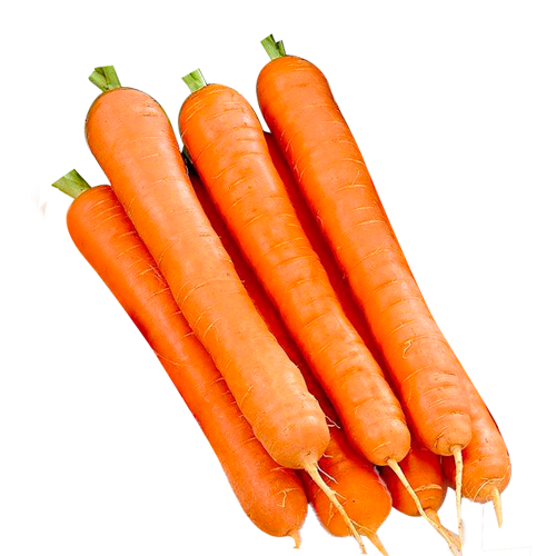 Морковь мытая, сорт "Тушон", весовая