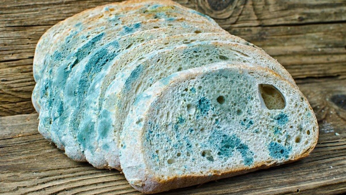 Как хранить хлеб в домашних условиях | Яльчикский муниципальный округ Чувашской Республики