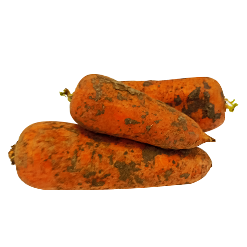 Морковь эконом весовая