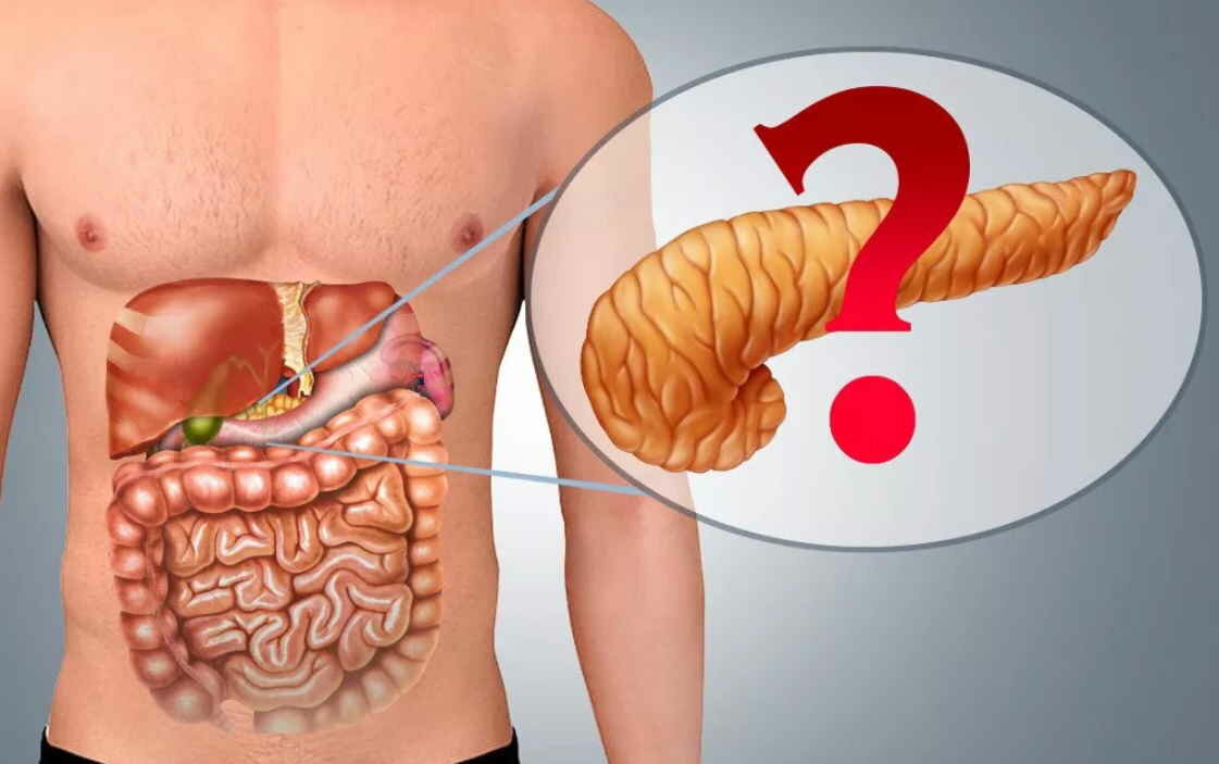 Как спасти поджелудочную от разрушения: Врач призвал не совершать одну  ошибку - Информационно-аналитический портал «Открытое качество»