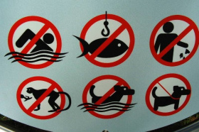 Не плавать на лежаках и не купаться с собакой: что нельзя делать на пляже