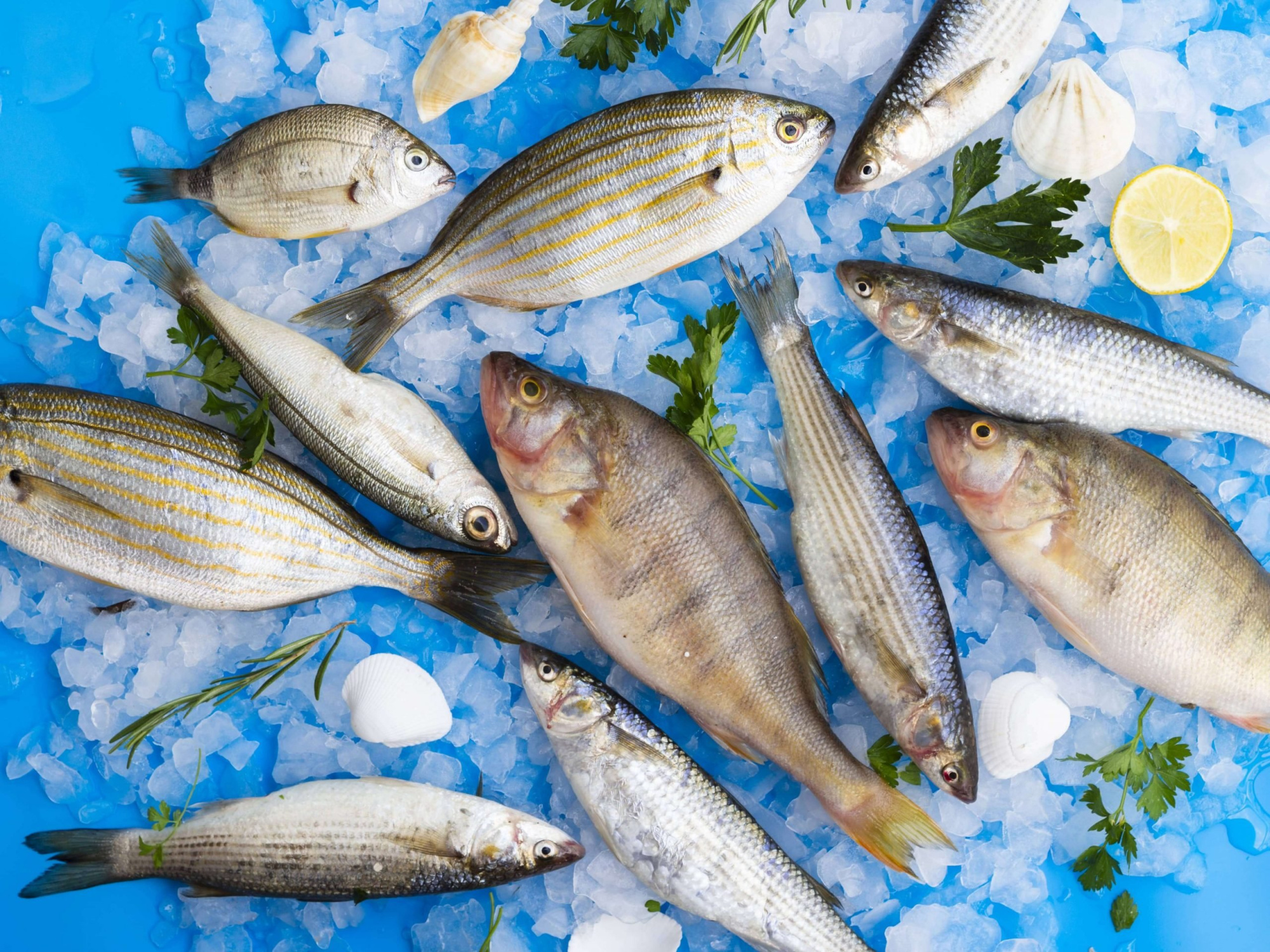 Важные характеристики отдельных сортов диетической рыбы