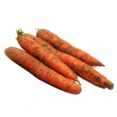 Морковь Эконом