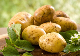 Чем болеет картошка?