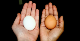 Как выбрать качественное куриное яйцо