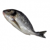 Рыба - дорада с головой непотрошеная 400-600 охлажденная  кг