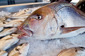 Дороговизна и сложность потребления: почему в России едят мало рыбы