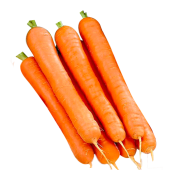 Морковь мытая, сорт "Тушон", весовая