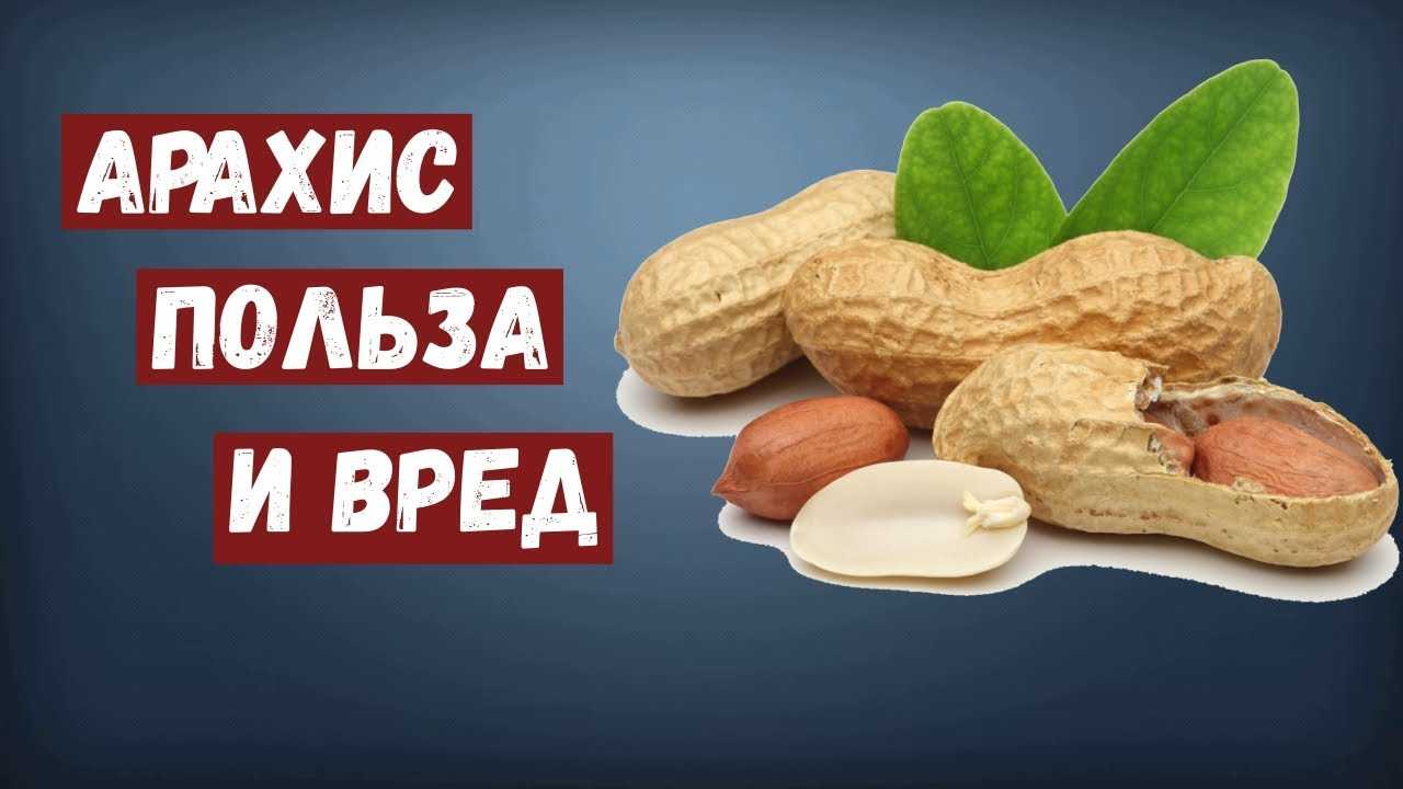 Арахис — польза и вред ореха для организма женщин, мужчин и детей