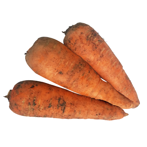 Морковь грязная ПЦ