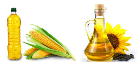 Врач Бирюкова: кукурузное и подсолнечное масло полезно есть для здоровья сосудистой стенки