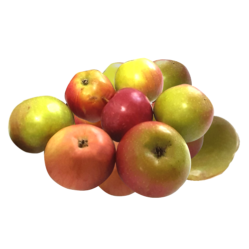 Яблоки эконом весовые