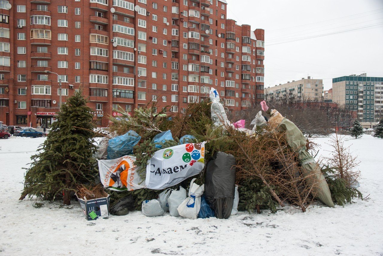 КАК УТИЛИЗИРОВАТЬ ЕЛКУ ПОСЛЕ НОВОГО ГОДА: ЖИВУЮ И ИСКУССТВЕННУЮ