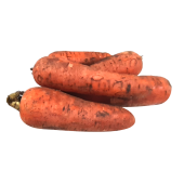 Морковь свежая эконом