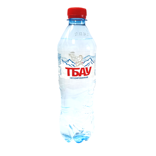 Вода минеральная природная столовая питьевая негазированная ТМ "ТБАУ"