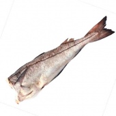 Рыба- пикша потрошеная, обезглавленная, охлажденая