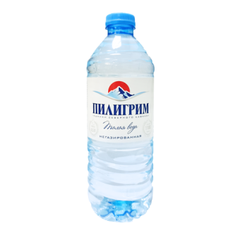 Вода минеральная природная столовая питьевая "Пилигрим" негазированная - 4 600 433 600 325