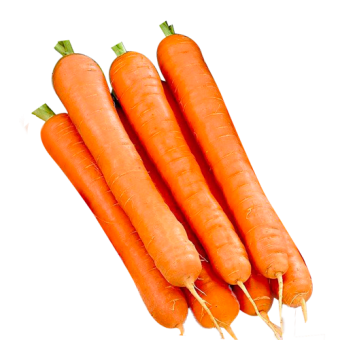 Морковь мытая, сорт "Тушон", весовая - 