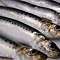 Субсидии иваси: как льгота на перевозку скажется на стоимости рыбы
