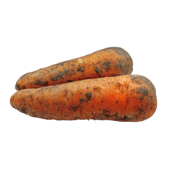 Морковь эконом - 