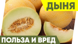 Биолог рассказал о пользе и вреде дыни