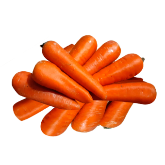 Морковь сорт "Император" - 
