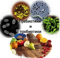 Пребиотики и пробиотики: в чем отличие?