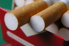 Торг не уместен: продажу нелегального табака выявили в 17 регионах