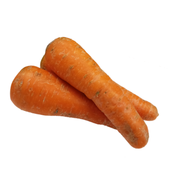 Морковь мытая весовая - 