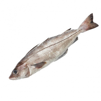 П/ф из рыбы Пикша (из замороженного сырья), (СП ГМ) - 