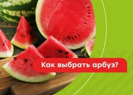Диетолог дала советы по выбору арбуза