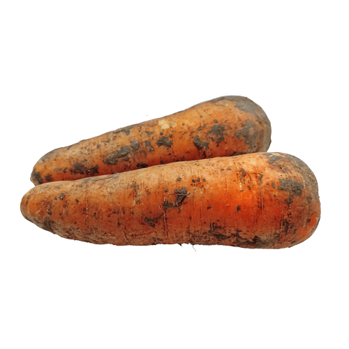 Морковь эконом