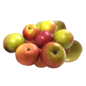 Яблоки эконом весовые