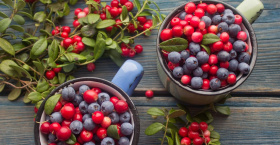 Врач Терентьева назвала 3 самые полезные ягоды, диетолог Пономарева рассказала, чем их можно заменить